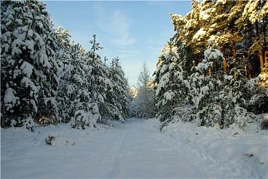 《光与影：33号远征队》主线30+小时 售价50美元